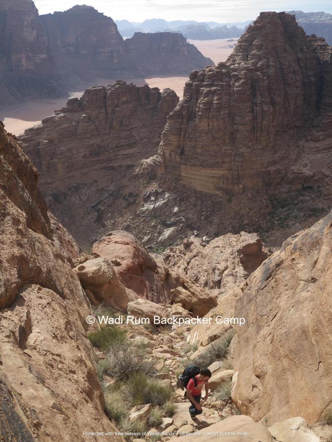 Wadi Rum Backpacker Camp Exterior foto